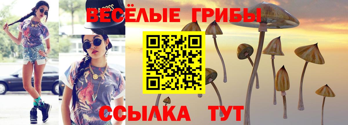 Галлюциногенные грибы прущие грибы Барабинск